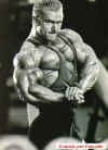 Leepriest10.jpg (84257 octets)