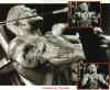 Leepriest12.jpg (137643 octets)