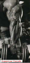 Leepriest5.jpg (57937 octets)