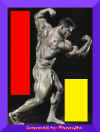 dem6.JPG (62534 octets)